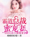 闪婚蜜爱霸道总裁蜜宠妻小说