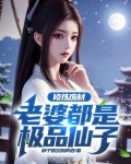 修炼废材老婆都是极品仙子小说