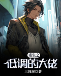 重生之低调大享小说下载