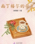 南丁格尔的荣光主要内容