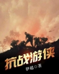 抗战游侠类似的小说